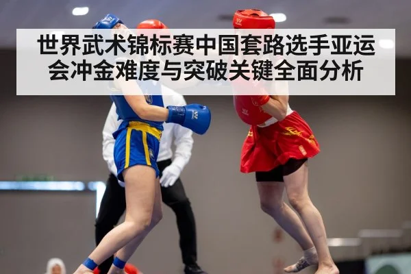 wushu martial arts competition（leyu）
